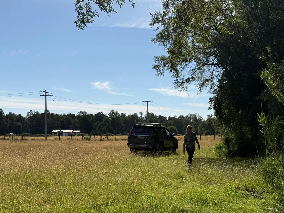 Parcelas Chucauco, Villarrica, R. de la Araucanía