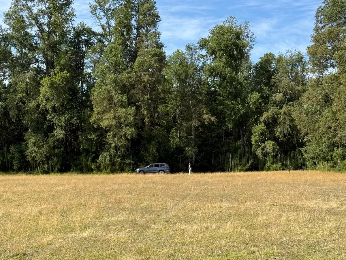 Parcelas Chucauco, Villarrica, R. de la Araucanía