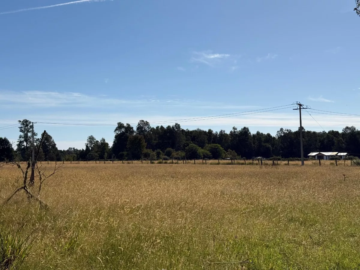 Parcelas Chucauco, Villarrica, R. de la Araucanía