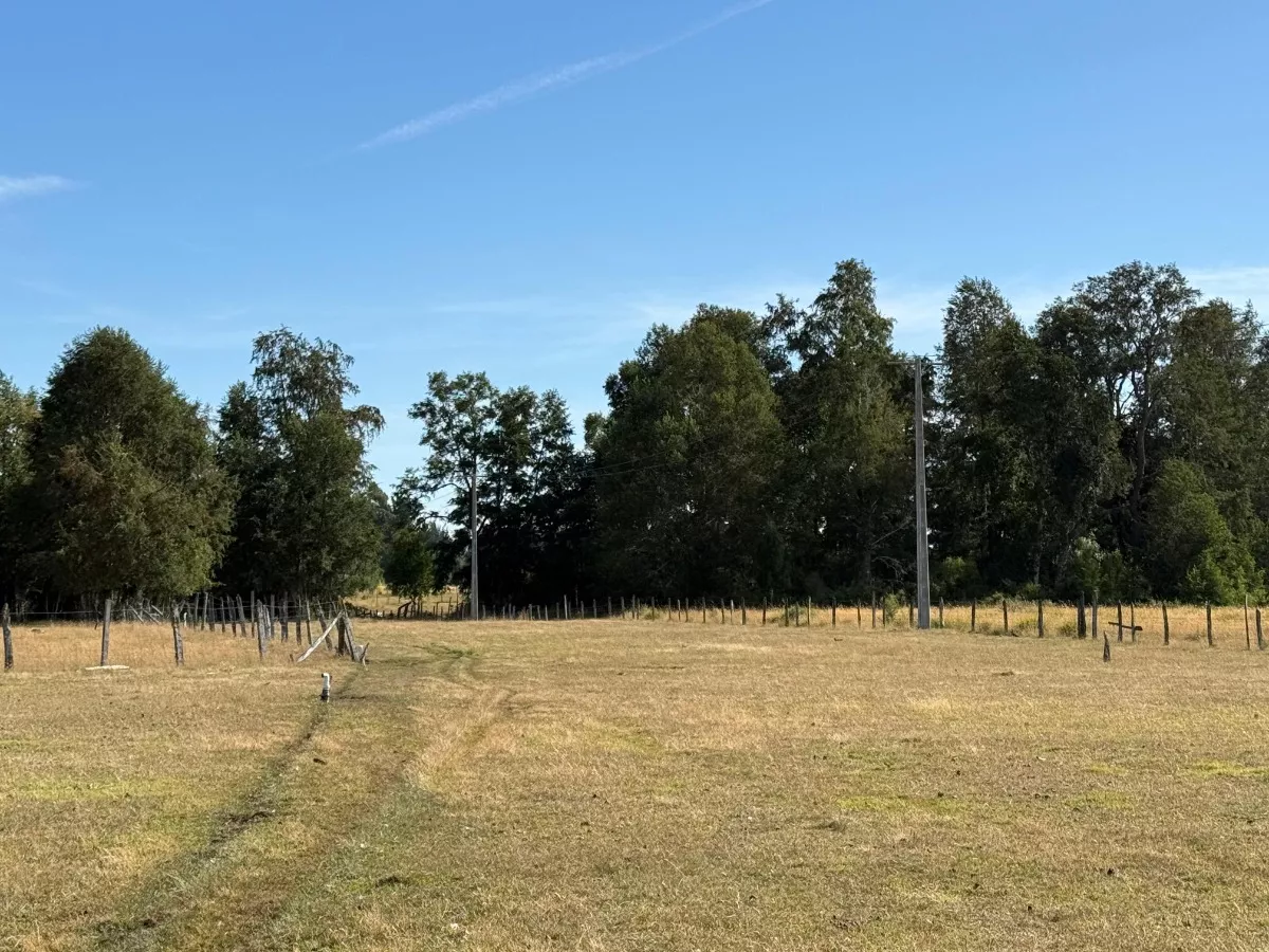Parcelas Chucauco, Villarrica, R. de la Araucanía