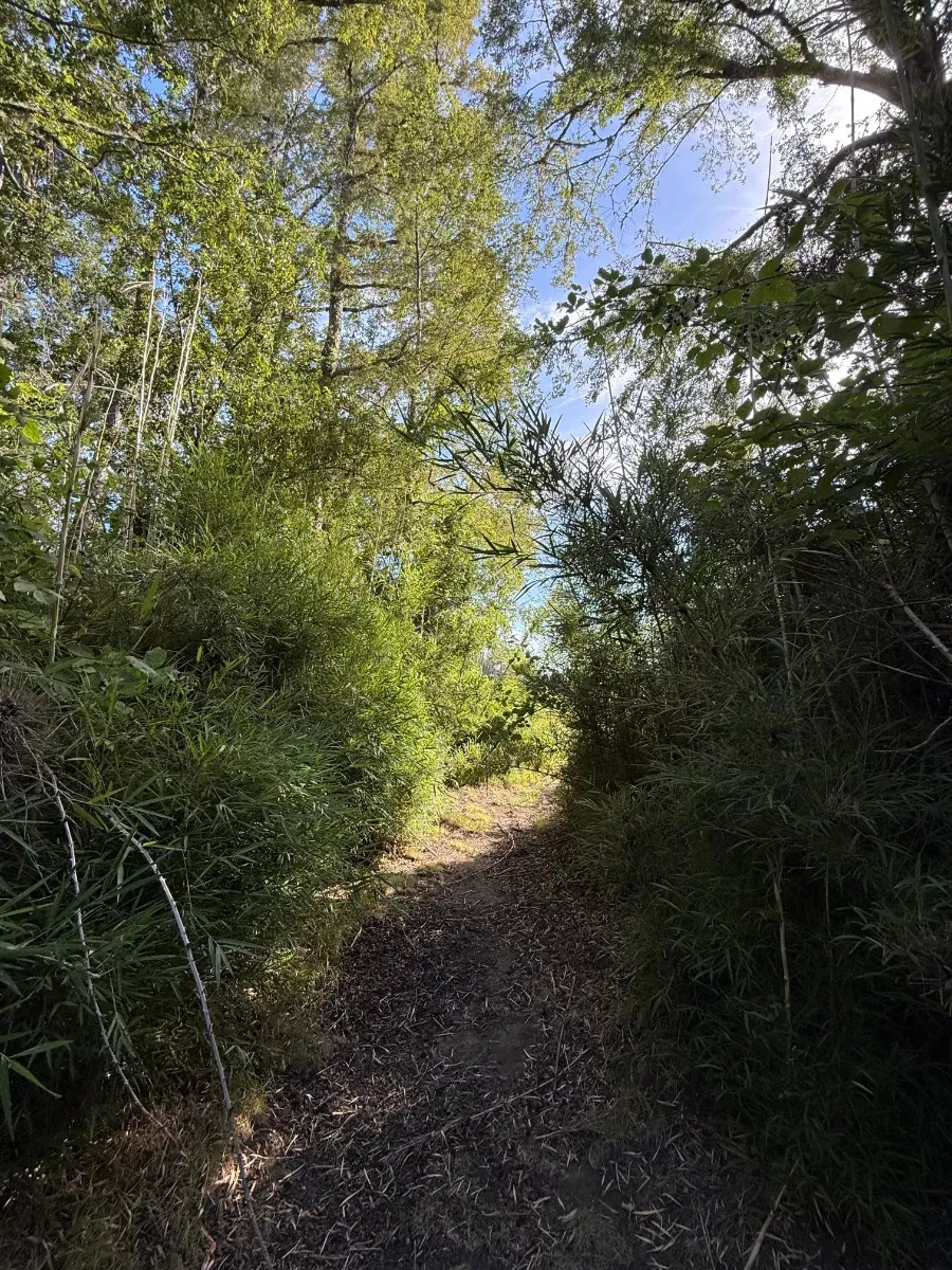 Parcelas Chucauco, Villarrica, R. de la Araucanía